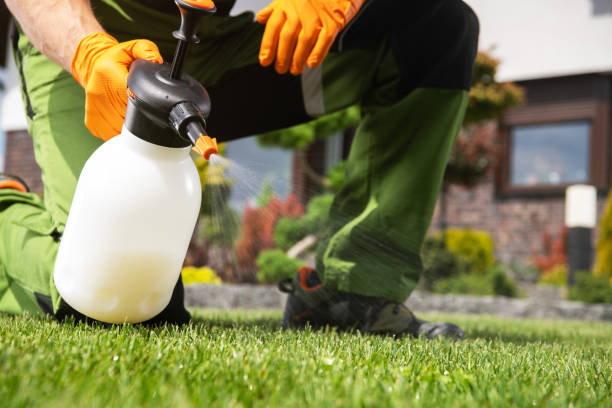 Best Affordable Pest Control Services  in Hialeah, FL