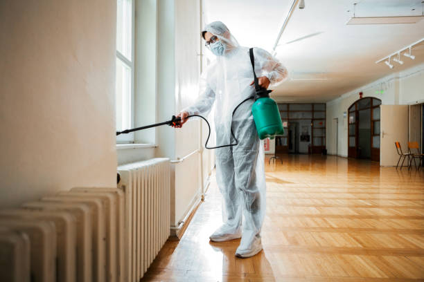 Best Termite Control Services  in Hialeah, FL